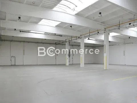 Pronájem skladu, Brno, 1055 m2