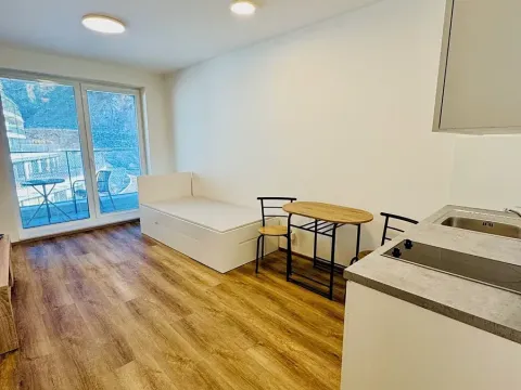 Pronájem bytu 1+kk, Brno, Bystrcká, 28 m2