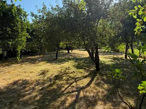 Pronájem zahrady, Olomouc, 1051 m2