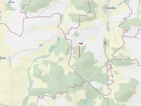 Dražba lesa, Kuřimany, 713 m2