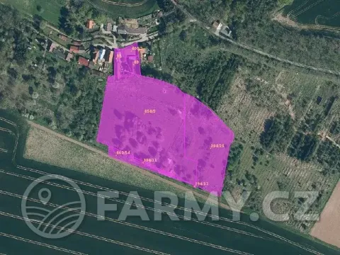 Prodej pole, Řepín, 22068 m2