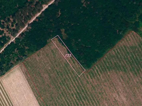 Prodej pozemku, Znojmo, 1683 m2