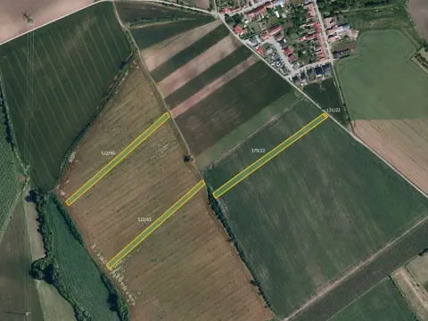 Prodej pole, Nový Poddvorov, 12492 m2