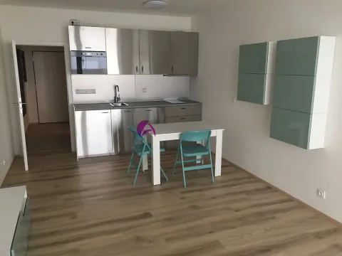 Pronájem bytu 1+kk, Olomouc, Rokycanova, 35 m2