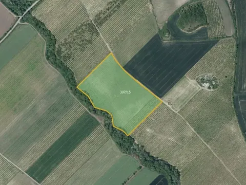 Prodej sadu/vinice, Želkovice, 42369 m2