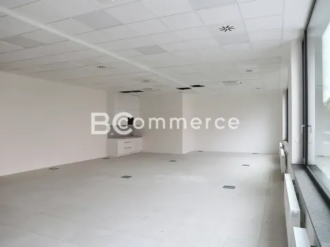 Pronájem kanceláře, Brno, 160 m2