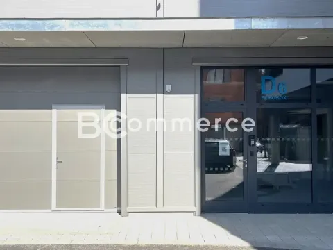 Pronájem obchodního prostoru, Brno, Svatopetrská, 203 m2