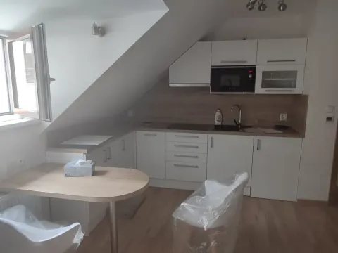 Pronájem bytu 1+kk, Frýdek-Místek, Ostravská, 32 m2
