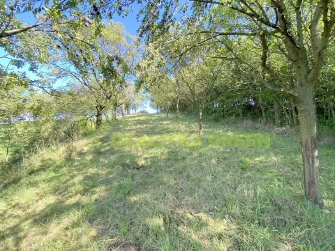 Pronájem louky, Podolí, 938 m2