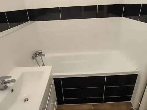 Pronájem bytu 1+1, Ostrava, Srbská, 40 m2