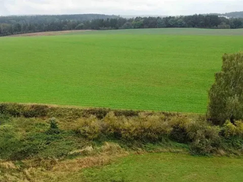 Dražba pole, Kostelec nad Černými lesy, 12366 m2