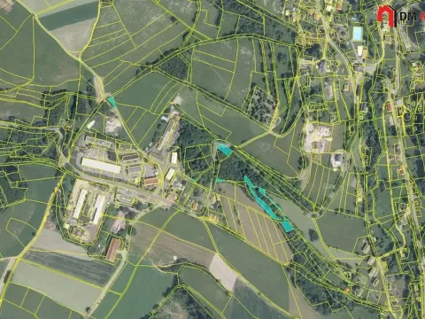 Prodej lesa, Zlatá Olešnice, 1248 m2