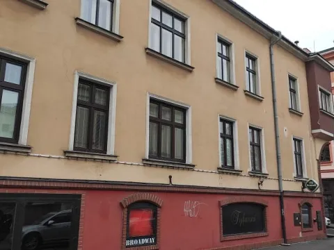 Prodej obchodního prostoru, Ostrava - Moravská Ostrava, Janáčkova, 165 m2