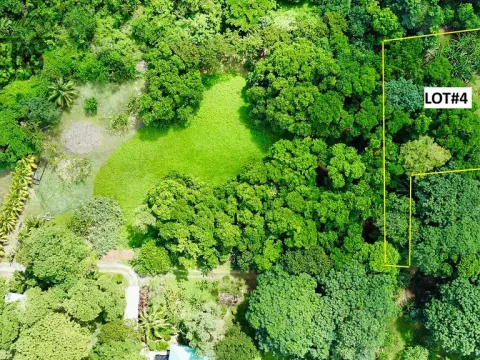 Prodej pozemku, Coxen Hole, Roatán, Honduras, 3265 m2