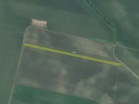 Prodej sadu/vinice, Terezín, 5465 m2