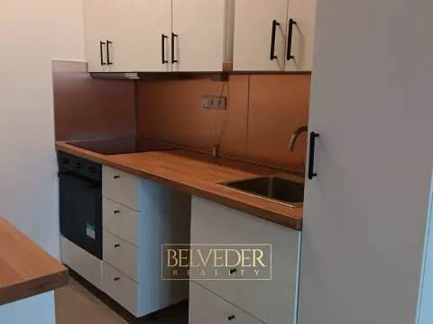 Pronájem bytu 3+kk, Litvínov, Koldům, 64 m2