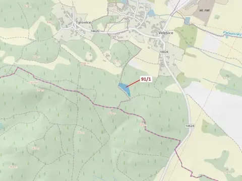 Dražba lesa, Pačejov, 3251 m2