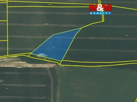 Prodej pole, Letkov, 2841 m2