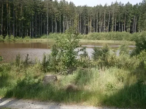 Pronájem rybníku, Sklené nad Oslavou, 10645 m2