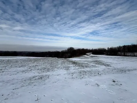 Prodej louky, Bruzovice, 94427 m2