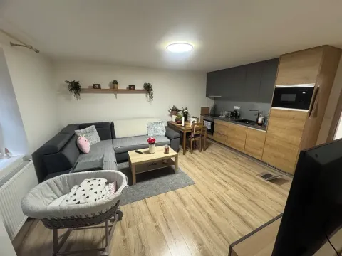 Pronájem bytu 3+kk, Frýdek-Místek, Maxe Švabinského, 65 m2