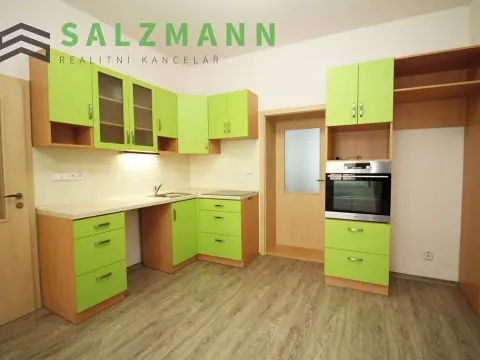 Pronájem bytu 2+kk, Plzeň, Úslavská, 38 m2