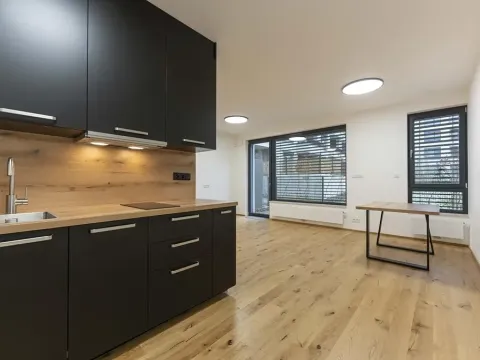 Pronájem bytu 1+kk, Praha - Nusle, Muzikova, 50 m2
