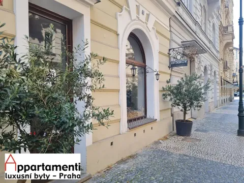 Pronájem restaurace, Praha - Staré Město, Veleslavínova, 150 m2