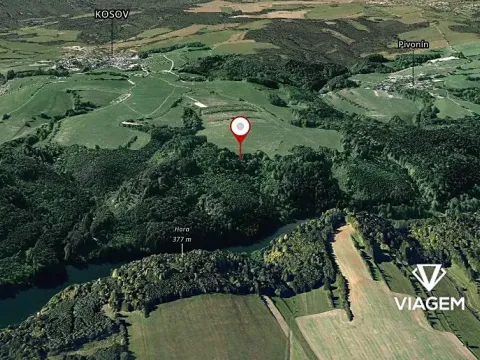 Prodej podílu lesa, Kosov, 548 m2