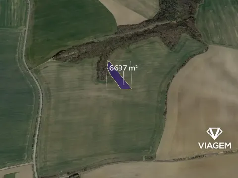 Prodej podílu pole, Kluky, 1116 m2