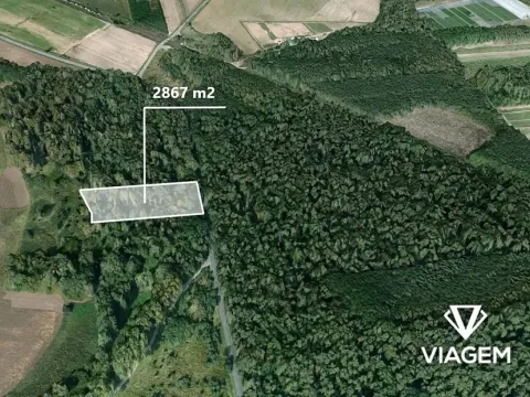 Prodej lesa, Křenek, 2867 m2