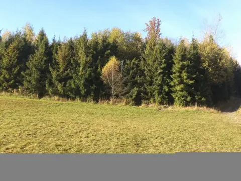 Prodej pozemku, Budišov nad Budišovkou, 60778 m2