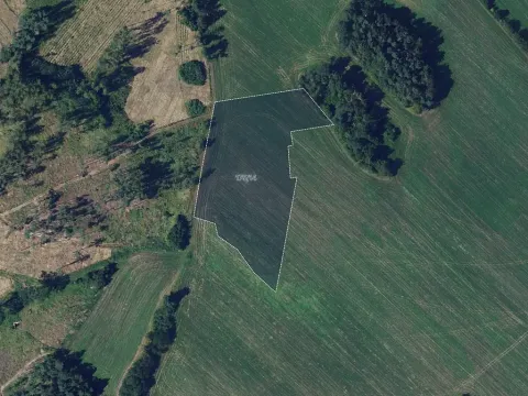 Prodej pole, Věžná, 11594 m2