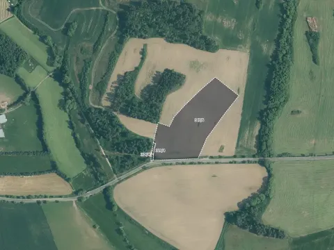 Prodej pole, Velký Bor, 34439 m2