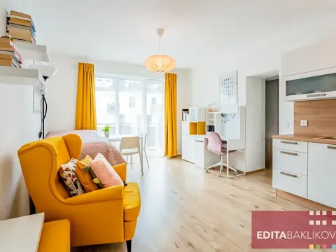 Pronájem bytu 1+kk, Olomouc, Eduarda Hamburgera, 33 m2