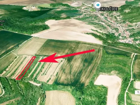 Prodej sadu/vinice, Nikolčice, 2568 m2