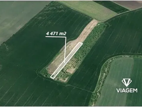 Prodej podílu pole, Sokolnice, 2980 m2