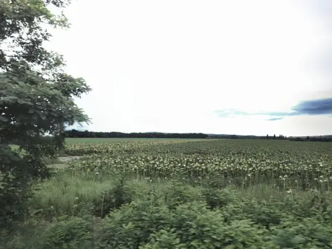 Prodej pole, Vranovice, 8591 m2