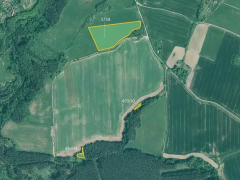 Prodej louky, Slabčice, 21867 m2