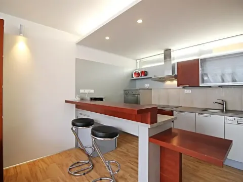 Pronájem bytu 1+kk, Brno, Spálená, 36 m2