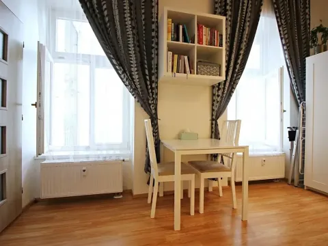 Pronájem bytu 1+kk, Brno, Koliště, 26 m2