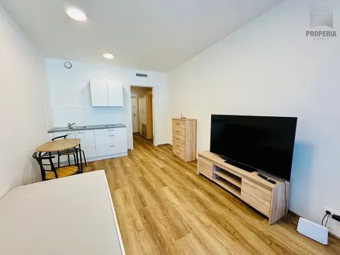 Pronájem bytu 1+kk, Brno, Bystrcká, 28 m2