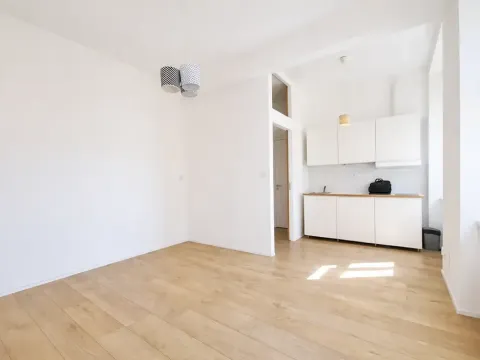 Pronájem bytu 1+kk, Praha - Holešovice, Na Maninách, 31 m2