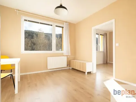 Pronájem bytu 1+1, Děčín, Teplická, 37 m2