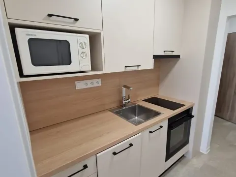 Pronájem bytu 1+kk, Brno, Žitná, 30 m2