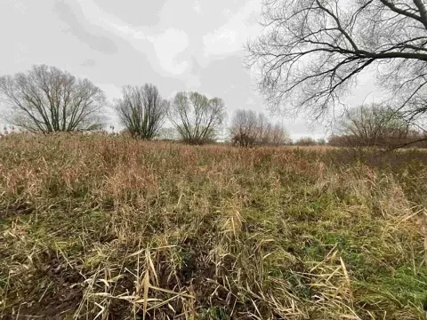 Dražba louky, Křenovice, 4103 m2