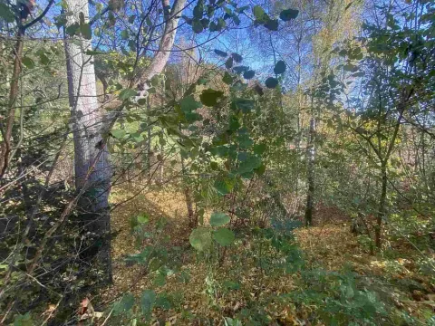 Prodej pozemku, Lučany nad Nisou - Jindřichov, 449 m2