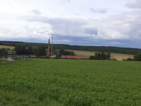 Dražba pozemku pro bydlení, Kožlany, 2631 m2