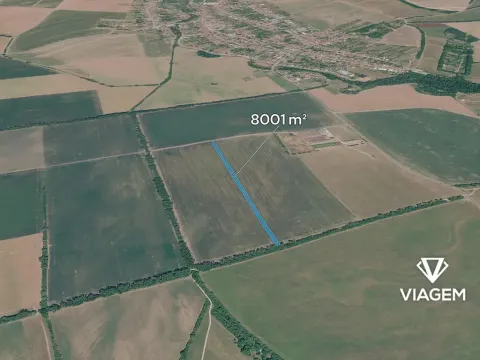 Prodej pole, Nivnice, 8001 m2
