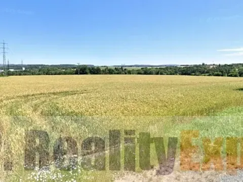 Pronájem výrobních prostor, Soutice, 1755 m2